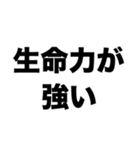 俺の生命力ゴキブリ並み（個別スタンプ：5）