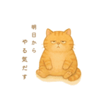 トラオの日常 茶トラ 猫好きスタンプ（個別スタンプ：1）