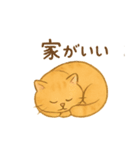 トラオの日常 茶トラ 猫好きスタンプ（個別スタンプ：2）