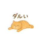 トラオの日常 茶トラ 猫好きスタンプ（個別スタンプ：3）