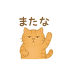 トラオの日常 茶トラ 猫好きスタンプ（個別スタンプ：4）