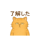 トラオの日常 茶トラ 猫好きスタンプ（個別スタンプ：6）