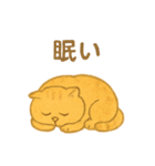 トラオの日常 茶トラ 猫好きスタンプ（個別スタンプ：17）