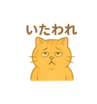 トラオの日常 茶トラ 猫好きスタンプ（個別スタンプ：18）