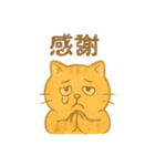 トラオの日常 茶トラ 猫好きスタンプ（個別スタンプ：21）