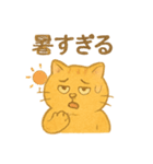 トラオの日常 茶トラ 猫好きスタンプ（個別スタンプ：23）