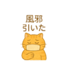 トラオの日常 茶トラ 猫好きスタンプ（個別スタンプ：24）