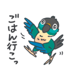 ウロコインコの日常で使えるスタンプ2（個別スタンプ：1）