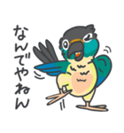 ウロコインコの日常で使えるスタンプ2（個別スタンプ：14）