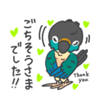 ウロコインコの日常で使えるスタンプ2（個別スタンプ：15）