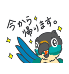 ウロコインコの日常で使えるスタンプ2（個別スタンプ：16）