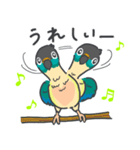 ウロコインコの日常で使えるスタンプ2（個別スタンプ：18）