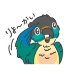 ウロコインコの日常で使えるスタンプ2（個別スタンプ：20）