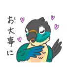ウロコインコの日常で使えるスタンプ2（個別スタンプ：21）