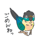 ウロコインコの日常で使えるスタンプ2（個別スタンプ：23）