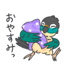 ウロコインコの日常で使えるスタンプ2（個別スタンプ：24）