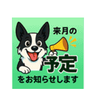 ボーダーコリーの連絡用スタンプ3（個別スタンプ：3）