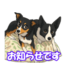 ボーダーコリーの連絡用スタンプ3（個別スタンプ：4）