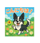 ボーダーコリーの連絡用スタンプ3（個別スタンプ：6）