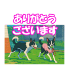 ボーダーコリーの連絡用スタンプ3（個別スタンプ：11）