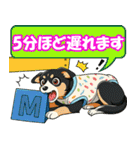 ボーダーコリーの連絡用スタンプ3（個別スタンプ：13）
