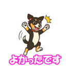 ボーダーコリーの連絡用スタンプ3（個別スタンプ：15）