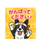 ボーダーコリーの連絡用スタンプ3（個別スタンプ：17）
