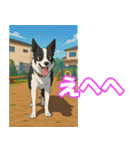 ボーダーコリーの連絡用スタンプ3（個別スタンプ：19）