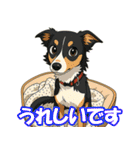 ボーダーコリーの連絡用スタンプ3（個別スタンプ：20）