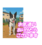 ボーダーコリーの連絡用スタンプ3（個別スタンプ：24）