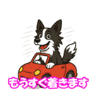 ボーダーコリーの連絡用スタンプ3（個別スタンプ：26）