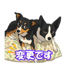 ボーダーコリーの連絡用スタンプ3（個別スタンプ：32）