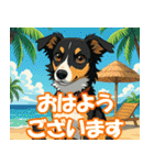 ボーダーコリーの連絡用スタンプ3（個別スタンプ：33）