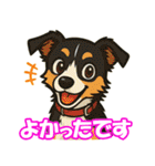 ボーダーコリーの連絡用スタンプ3（個別スタンプ：35）