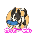 ボーダーコリーの連絡用スタンプ3（個別スタンプ：37）