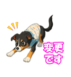 ボーダーコリーの連絡用スタンプ3（個別スタンプ：38）