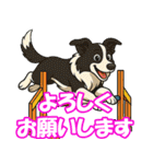 ボーダーコリーの連絡用スタンプ3（個別スタンプ：39）
