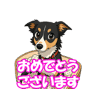 ボーダーコリーの連絡用スタンプ3（個別スタンプ：40）