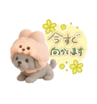 3D✨大人かわいい毎日使いたくなる✨うさぷー（個別スタンプ：10）