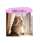 ぽてぽてデブニャンずスタンプ（個別スタンプ：10）