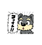 シュナウザーの日常.動くver.3（個別スタンプ：5）