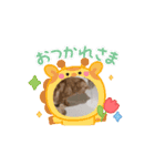ニャンズ9（個別スタンプ：7）