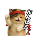 日常会話verエキゾチックショートヘアー（個別スタンプ：17）