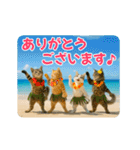 ずっと使える♡夏のねこ（個別スタンプ：1）