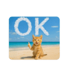 ずっと使える♡夏のねこ（個別スタンプ：3）