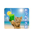 ずっと使える♡夏のねこ（個別スタンプ：7）