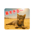 ずっと使える♡夏のねこ（個別スタンプ：10）