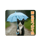ずっと使える♡夏のねこ（個別スタンプ：18）