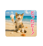 ずっと使える♡夏のねこ（個別スタンプ：24）