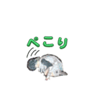 心霊配信者えだまめさん  4（個別スタンプ：12）